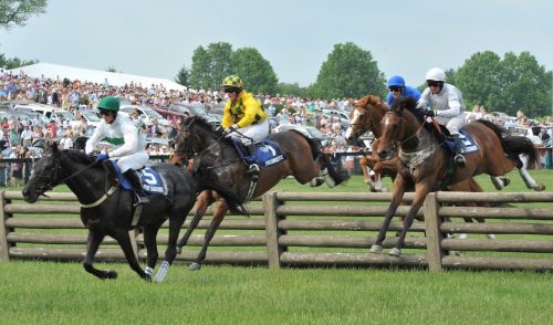 Virginia Gold Cup