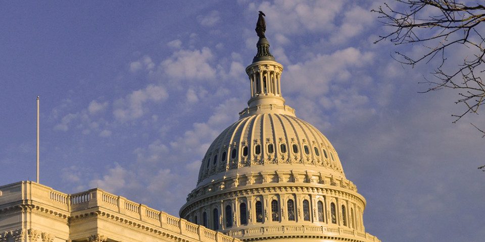 Visit the U.S. Capitol with Moon Washington DC (Photo Credit: Samantha Sault)