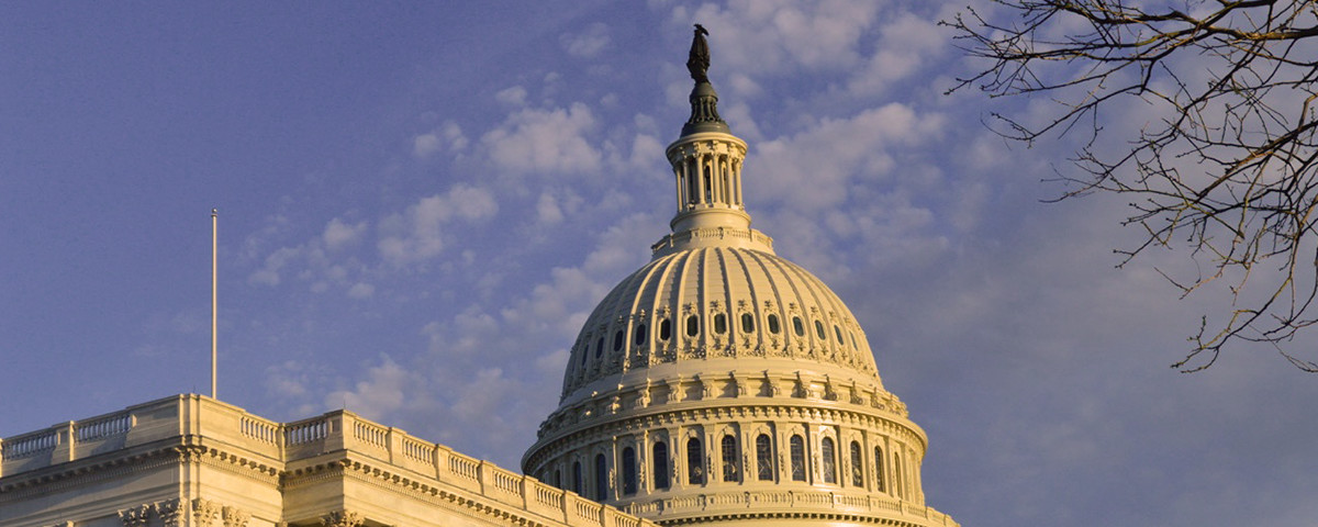 Visit the U.S. Capitol with Moon Washington DC (Photo Credit: Samantha Sault)