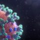 New coronavirus visualization - Photo by Fusion Medical Animation on Unsplash