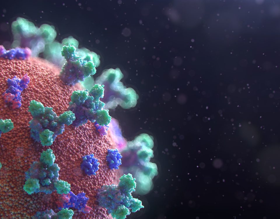 New coronavirus visualization - Photo by Fusion Medical Animation on Unsplash
